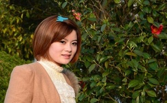 小黄花必看的网站安全